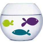 Empty fish bowl